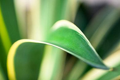 PC游戏秀：《侏罗纪世界：进化2》新扩展包公布